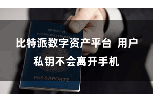 比特派数字资产平台  用户私钥不会离开手机