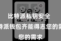 比特派私钥安全  比特派钱包齐能得志您的需求