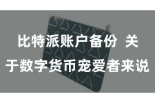比特派账户备份 关于数字货币宠爱者来说