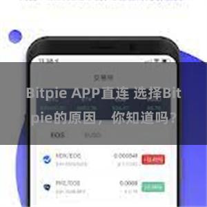 Bitpie APP直连 选择Bitpie的原因，你知道吗？