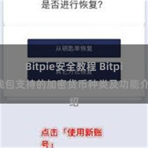 Bitpie安全教程 Bitpie钱包支持的加密货币种类及功能介绍