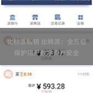 比特派私钥 比特派：全方位保护用户数字资产安全