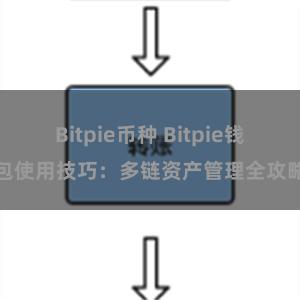 Bitpie币种 Bitpie钱包使用技巧：多链资产管理全攻略