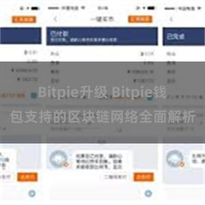 Bitpie升级 Bitpie钱包支持的区块链网络全面解析