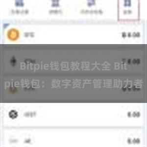 Bitpie钱包教程大全 Bitpie钱包：数字资产管理助力者