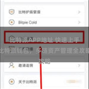 比特派APP地址 快速上手比特派钱包，多链资产管理全攻略