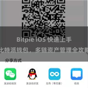 Bitpie iOS 快速上手比特派钱包，多链资产管理全攻略