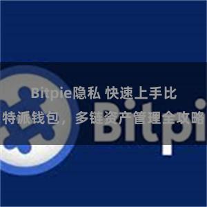 Bitpie隐私 快速上手比特派钱包，多链资产管理全攻略