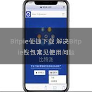 Bitpie便捷下载 解决Bitpie钱包常见使用问题