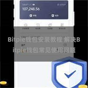 Bitpie钱包安装教程 解决Bitpie钱包常见使用问题