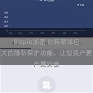 Bitpie加密 比特派钱包：强大的隐私保护功能，让您资产更安全