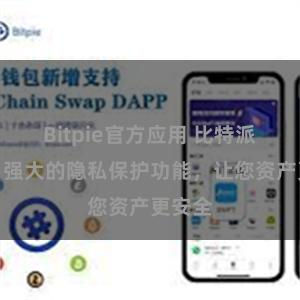 Bitpie官方应用 比特派钱包：强大的隐私保护功能，让您资产更安全