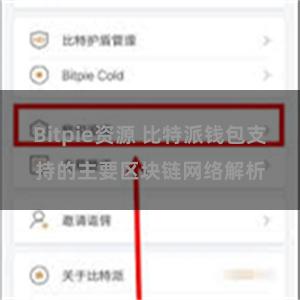 Bitpie资源 比特派钱包支持的主要区块链网络解析