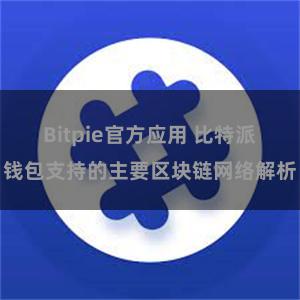 Bitpie官方应用 比特派钱包支持的主要区块链网络解析