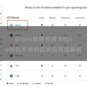 Bitpie教程官网 Bitpie钱包支持的区块链网络解析