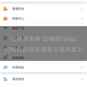 比特派币种 比特派(Bitpie)钱包的团队背景与技术实力