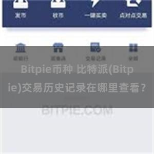 Bitpie币种 比特派(Bitpie)交易历史记录在哪里查看？