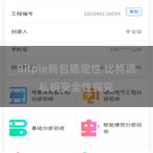 Bitpie钱包稳定性 比特派私钥安全性探究