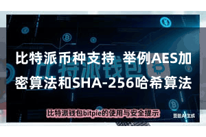 比特派币种支持  举例AES加密算法和SHA-256哈希算法